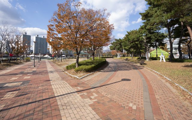 Walking path in APEC Naru Park